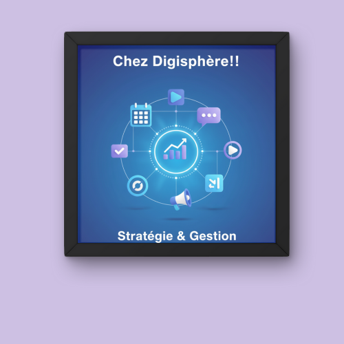  marketing digisphere