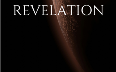 De BEGINNING à REVELATION : construire une saga en plusieurs tomes